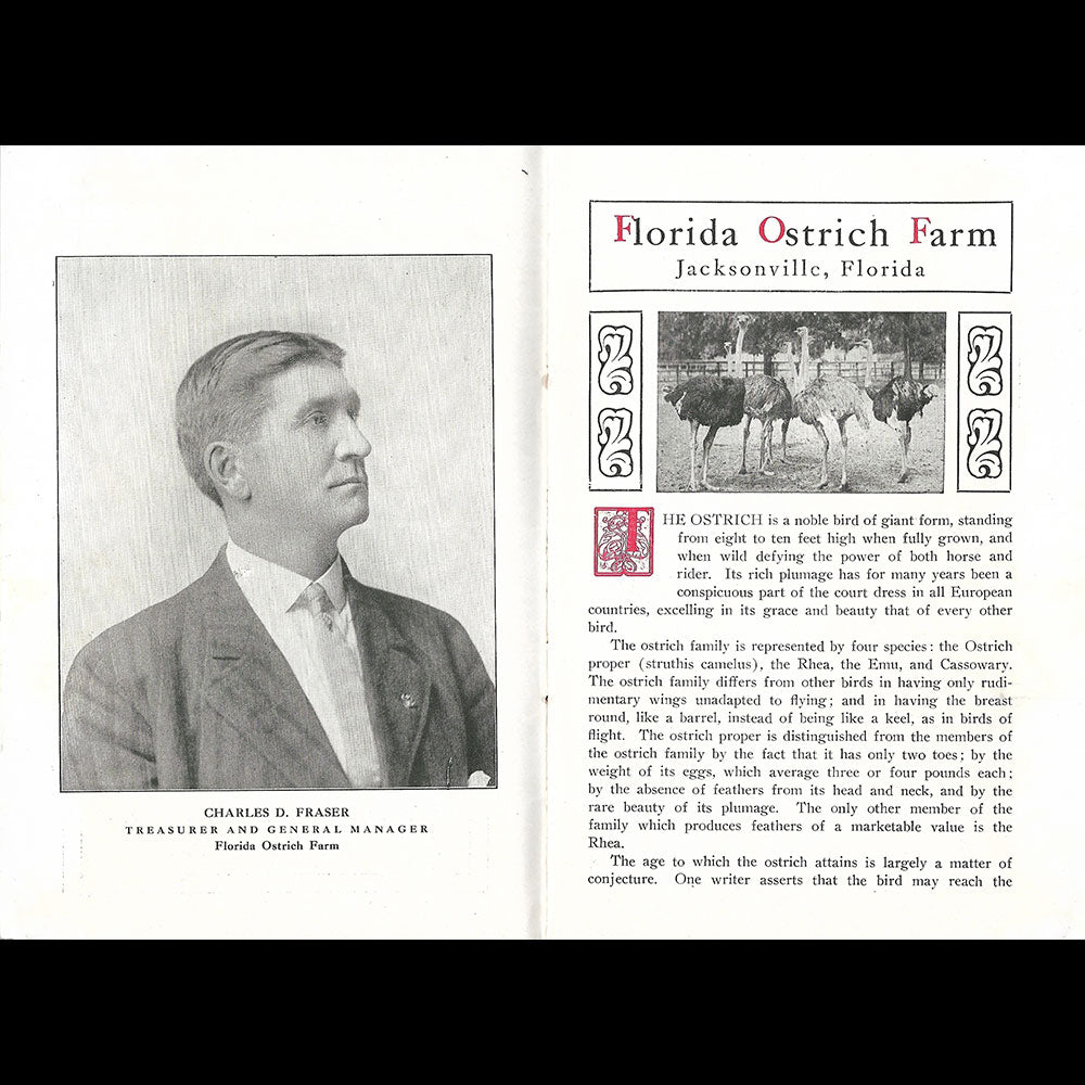 Florida Ostrich Farm - Plaquette de la maison de plumes de Jacksonville (1910s)